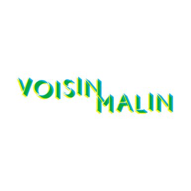 Logo Voisin Malin, association soutenue par La Fondation Cetelem pour le partage numérique et la transmission de compétences