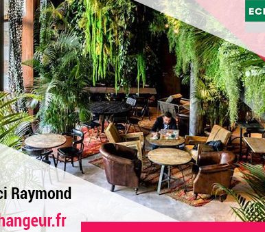 Partez à la découverte de la jeune start-up française Merci Raymond qui se donne pour mission de reconnecter les citadins à la nature !